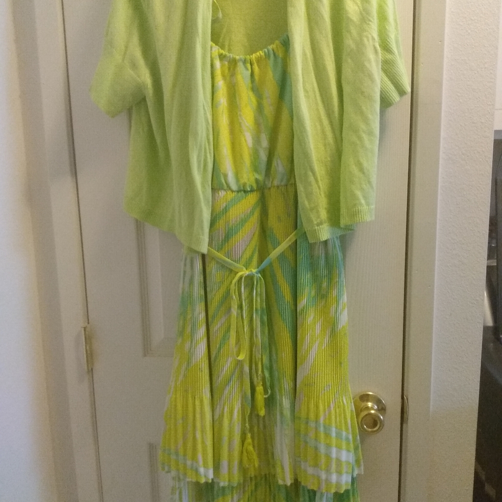 Lane Bryant Dress